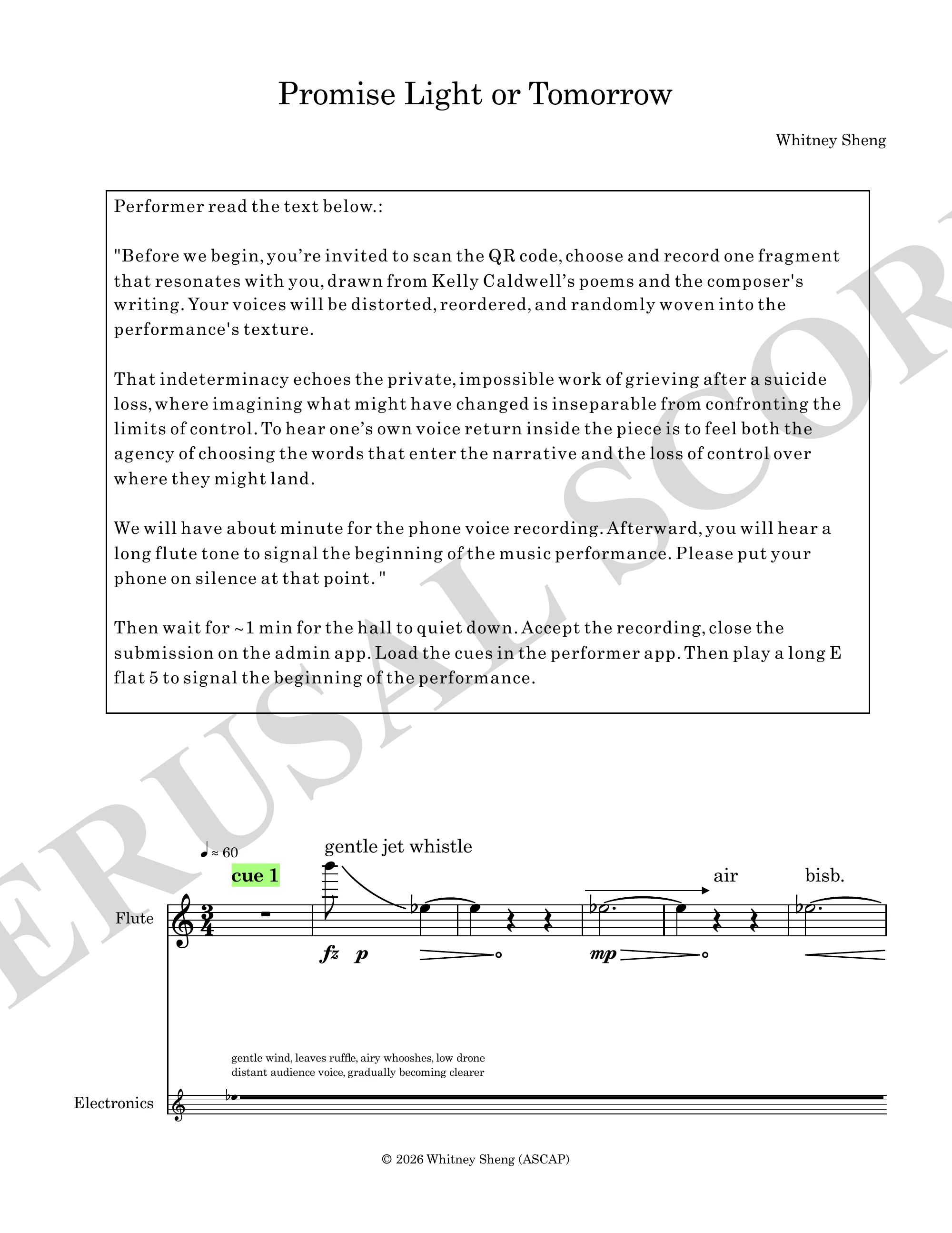 promise light or tomorrow perusal score page 2